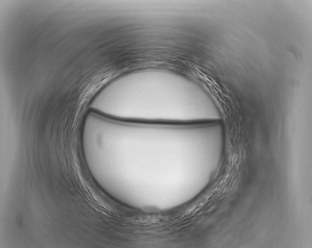 X0000116310049200911301044