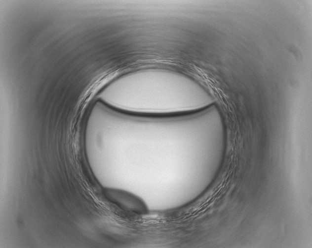 X0000116310050200911301044