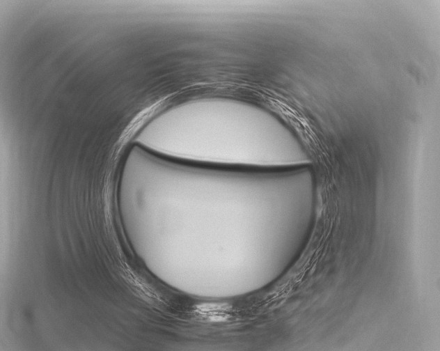 X0000116310051200911301044