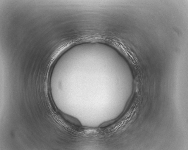 X0000116310052200911301044