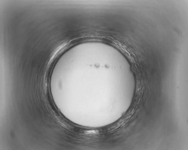 X0000116310053200911301044