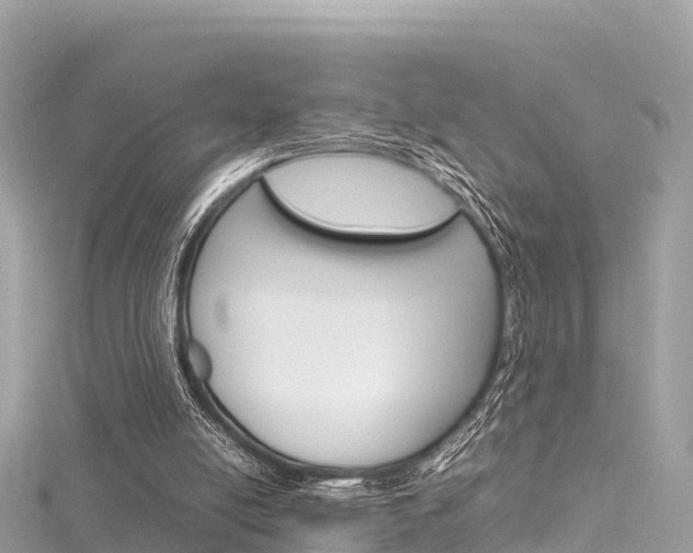 X0000116310054200911301044