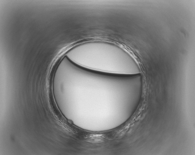 X0000116310055200911301044