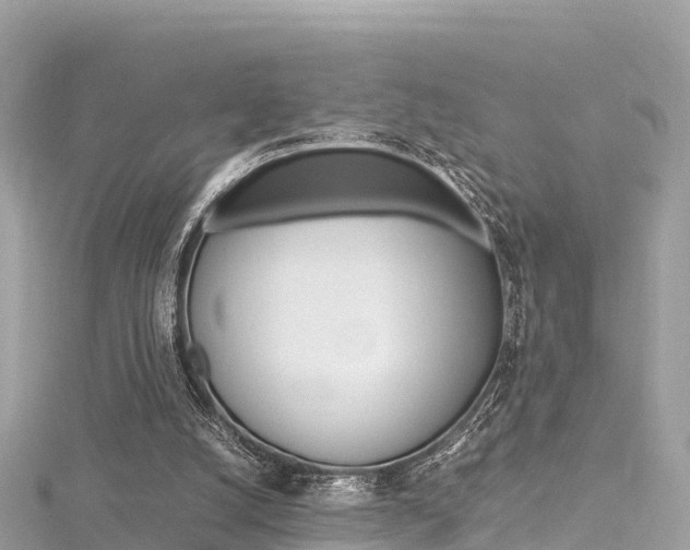 X0000116310056200911301044