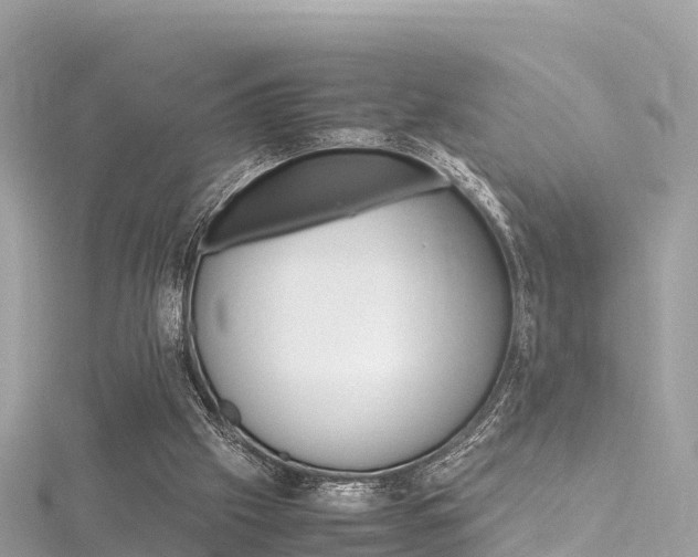 X0000116310057200911301044