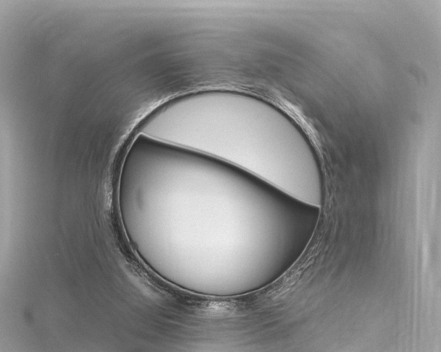 X0000116310060200911301044