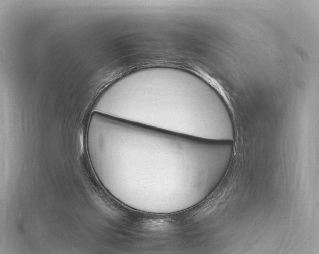 X0000116310061200911301044