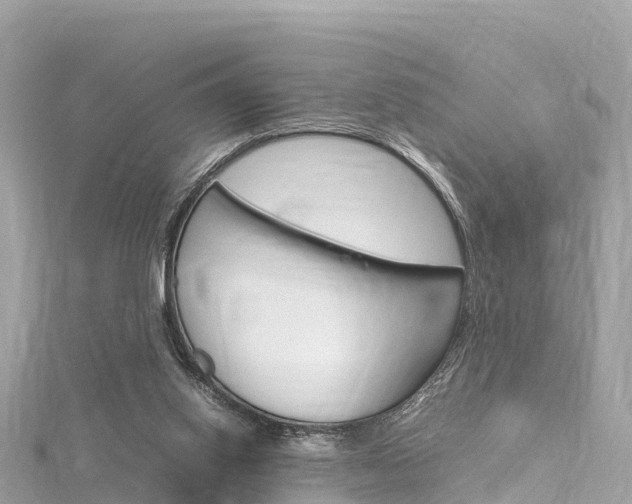 X0000116310062200911301044