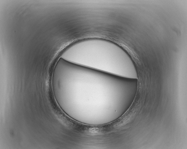 X0000116310064200911301044