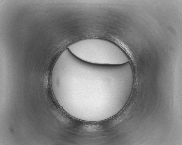 X0000116310065200911301044