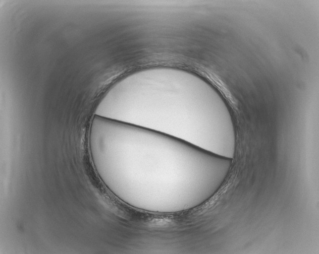 X0000116310066200911301044