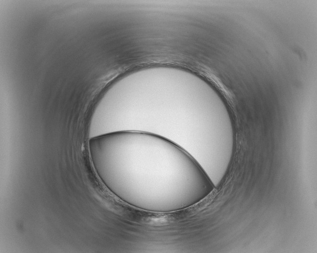 X0000116310068200911301044