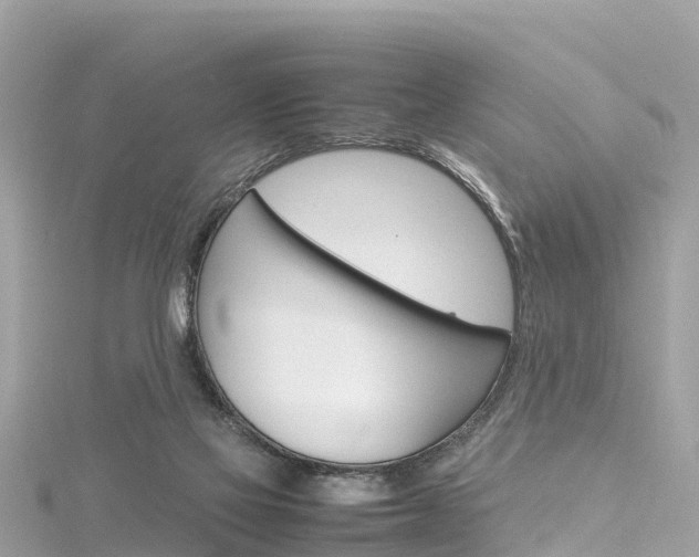 X0000116310069200911301044