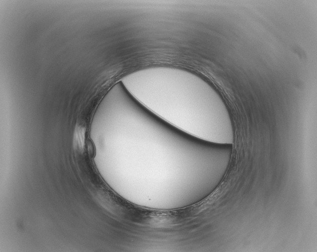 X0000116310070200911301044