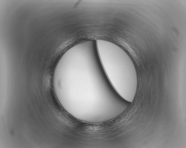 X0000116310071200911301044