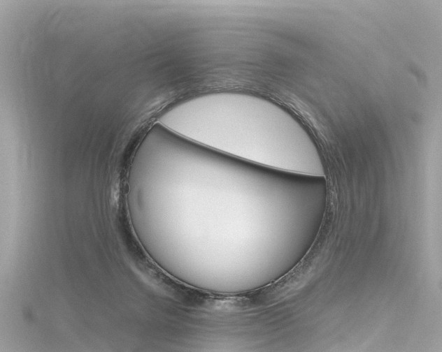 X0000116310072200911301044