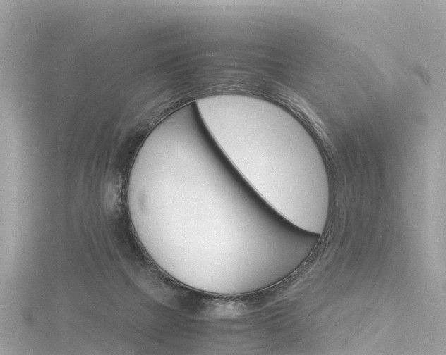 X0000116310073200911301044