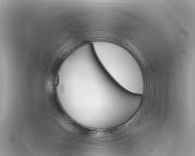 X0000116310074200911301044