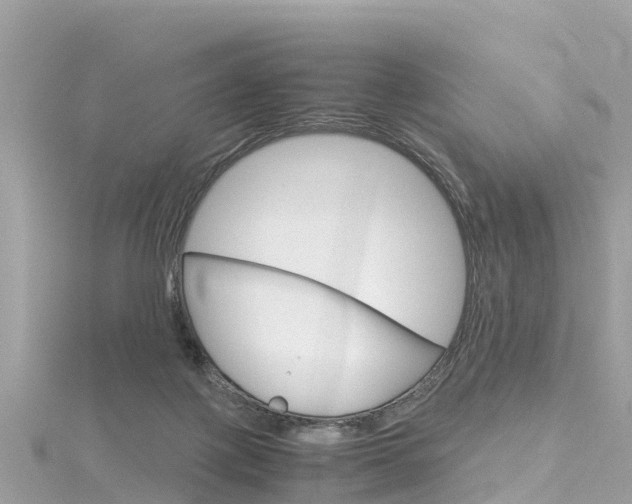 X0000116310075200911301044