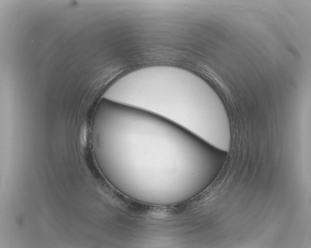 X0000116310076200911301044