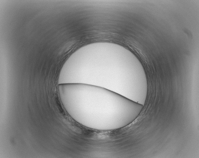 X0000116310078200911301044