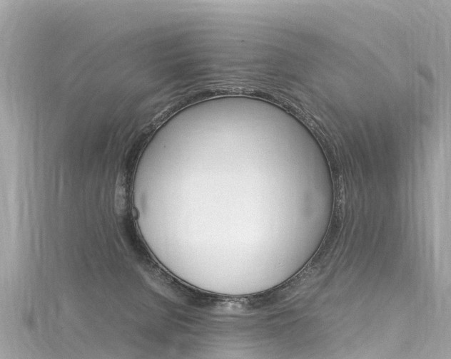 X0000116310080200911301044