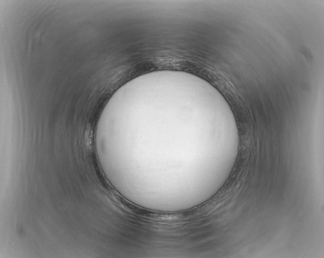 X0000116310081200911301044