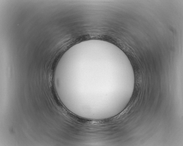 X0000116310082200911301044