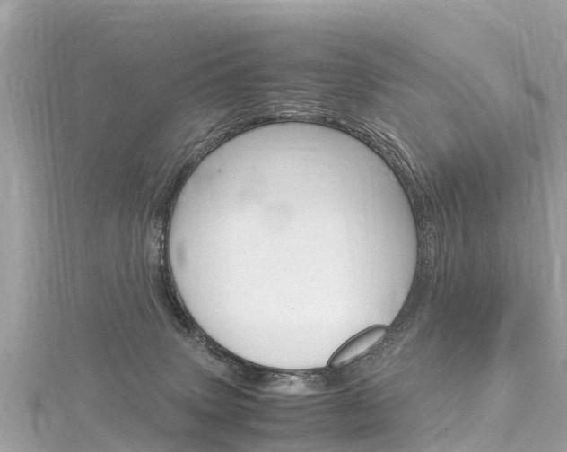 X0000116310083200911301044