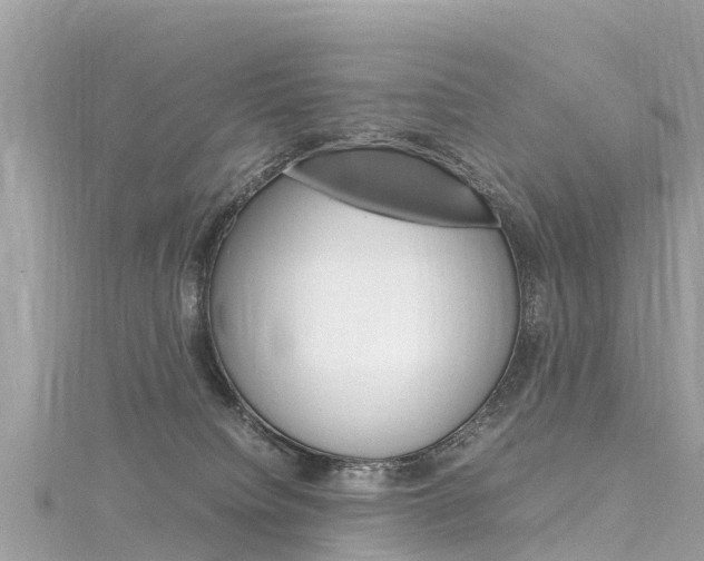 X0000116310084200911301044