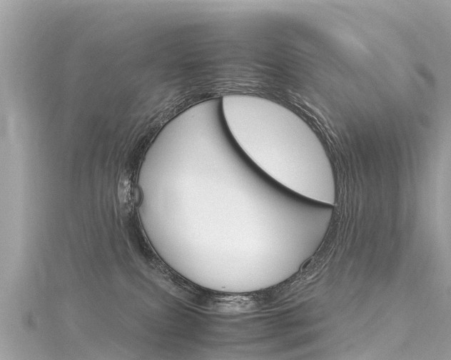 X0000116310087200911301045