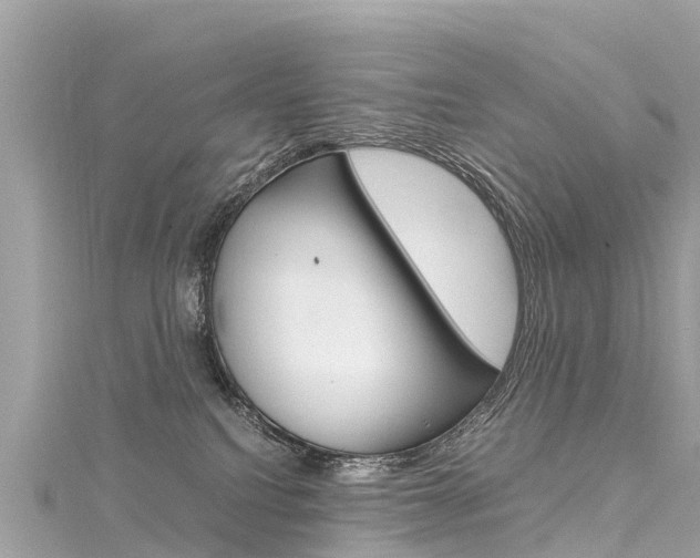 X0000116310088200911301045