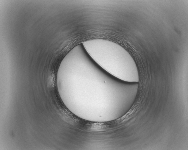 X0000116310090200911301045