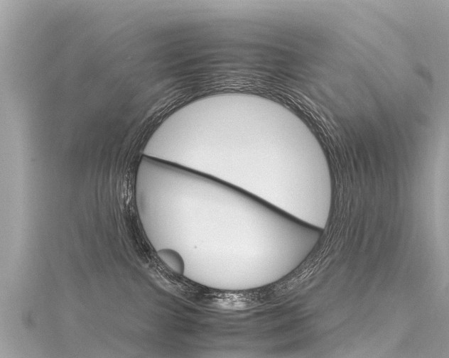 X0000116310091200911301045