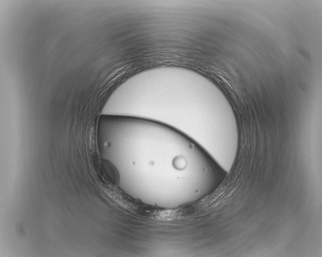 X0000116310092200911301045