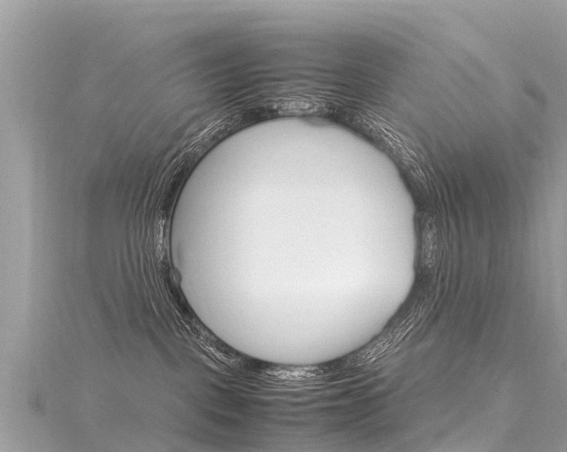 X0000116310093200911301045