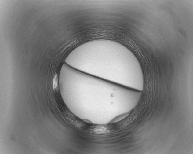 X0000116310095200911301045