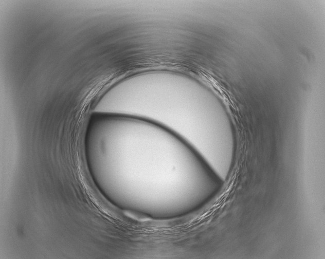 X0000116310097200911301044