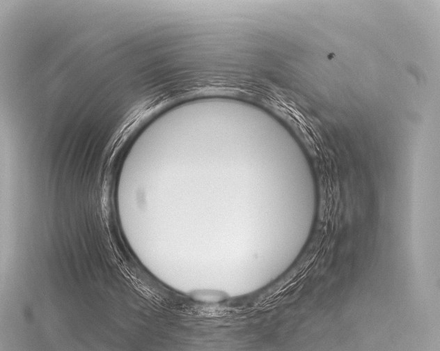 X0000116310098200911301044