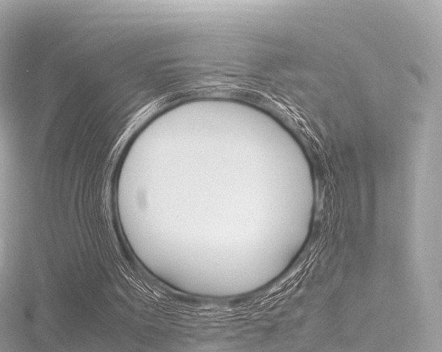 X0000116310099200911301044