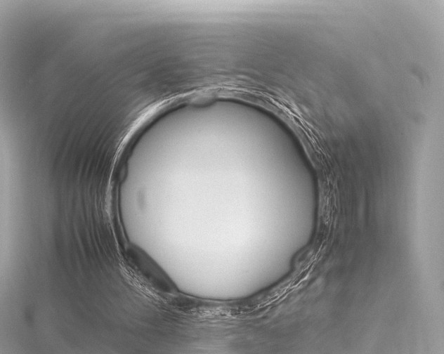 X0000116310100200911301044