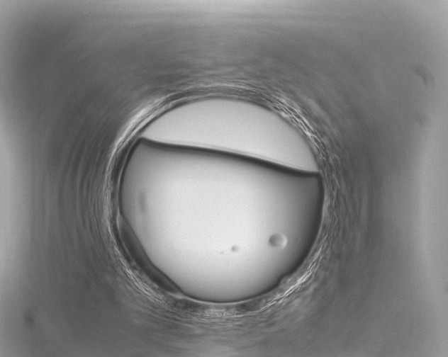 X0000116310101200911301044