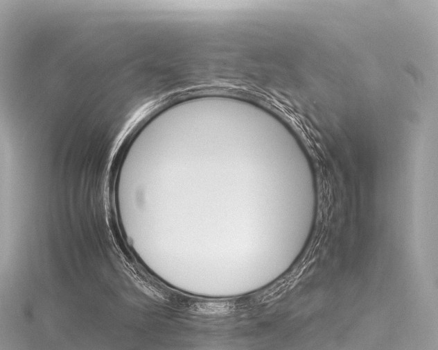 X0000116310102200911301044