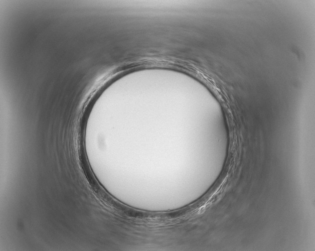 X0000116310103200911301044