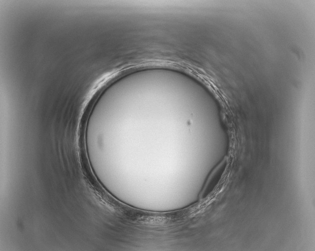 X0000116310104200911301044