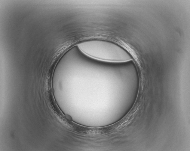 X0000116310105200911301044