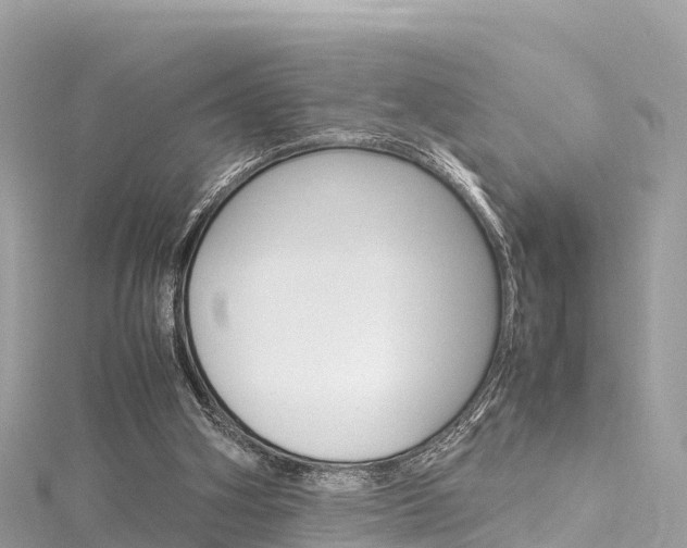 X0000116310106200911301044