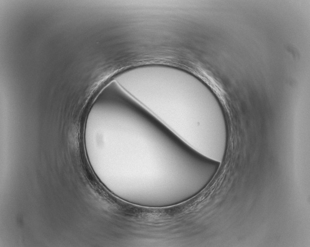 X0000116310107200911301044