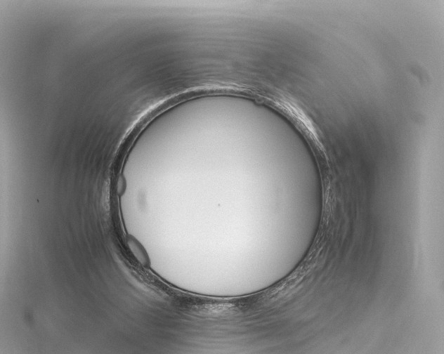 X0000116310108200911301044