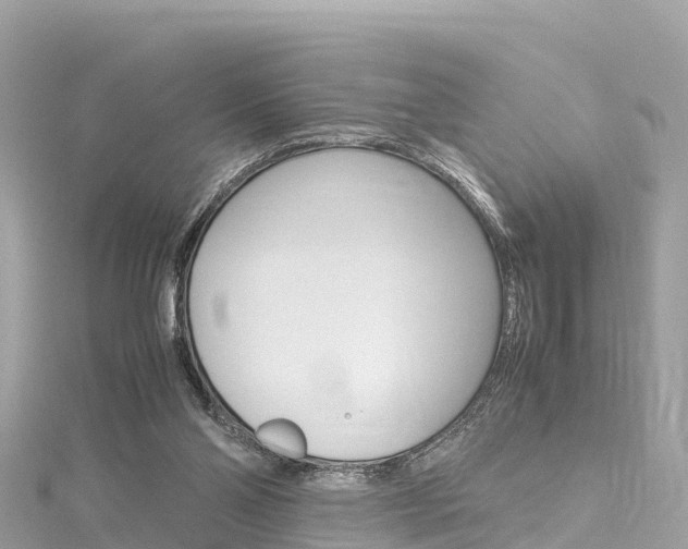 X0000116310110200911301044